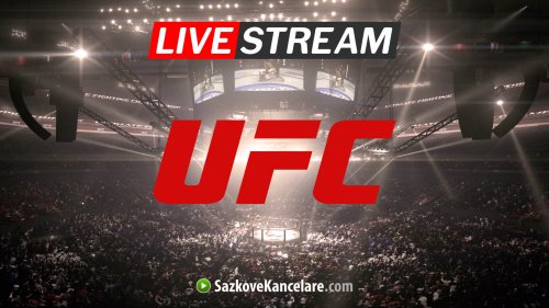 UFC live stream ▶️ ️kde sledovat MMA zápasy online a zdarma?